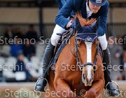 Pina Conglove Gold GioCav2013 S5 2587 : Campionati Italiani Giovani Cavalli, Cattolica, Conglove Gold, Pina Gabriele, ph Stefano Secchi ©